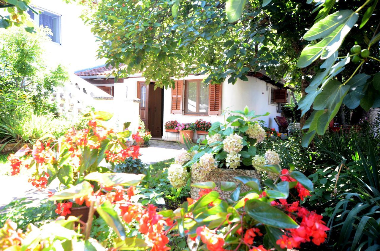 Apartment Amedea Kanfanar Exterior foto